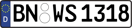 BN-WS1318