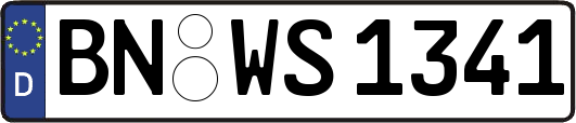 BN-WS1341