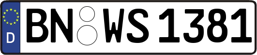BN-WS1381