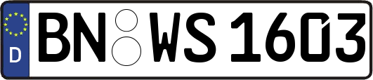 BN-WS1603
