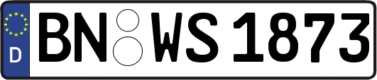 BN-WS1873