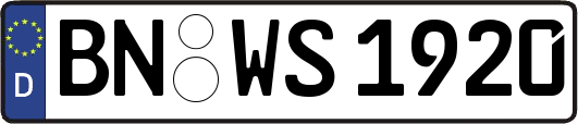 BN-WS1920