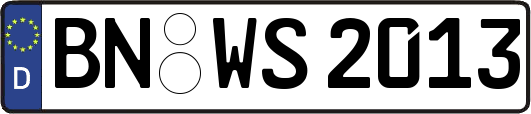 BN-WS2013