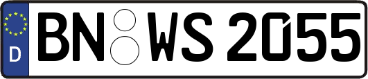 BN-WS2055