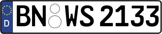 BN-WS2133