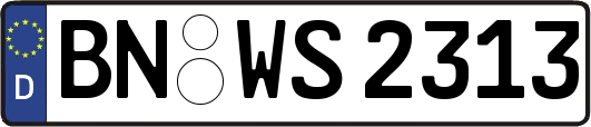 BN-WS2313