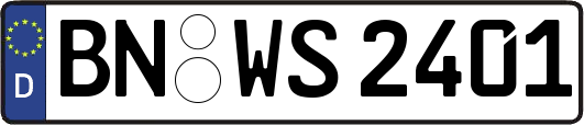 BN-WS2401