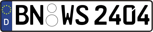 BN-WS2404