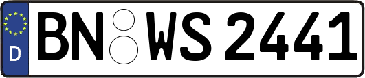 BN-WS2441
