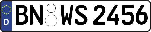 BN-WS2456