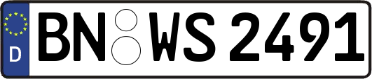 BN-WS2491