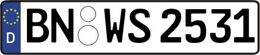 BN-WS2531
