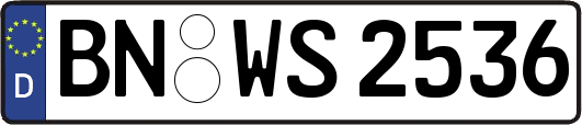 BN-WS2536