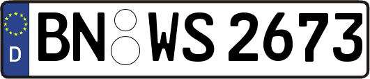 BN-WS2673