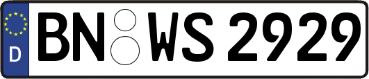 BN-WS2929