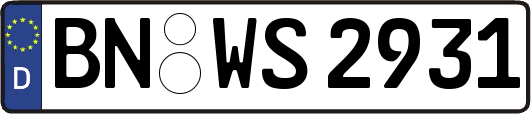 BN-WS2931