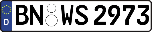 BN-WS2973