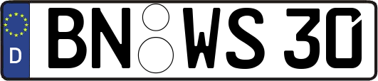 BN-WS30