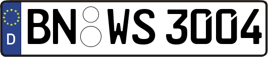BN-WS3004