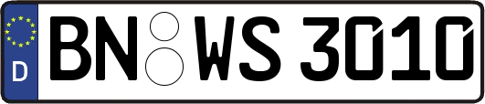 BN-WS3010