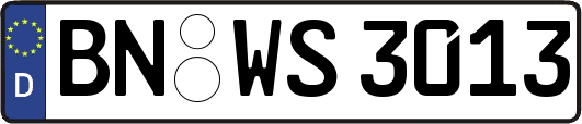 BN-WS3013