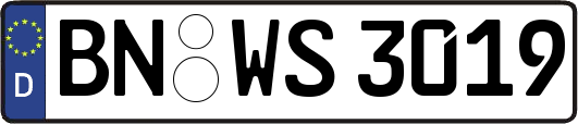 BN-WS3019