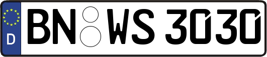 BN-WS3030