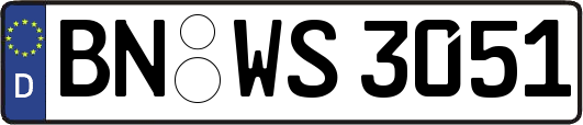 BN-WS3051