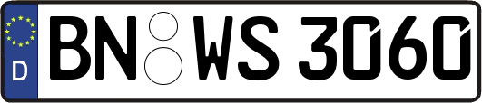 BN-WS3060