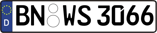 BN-WS3066