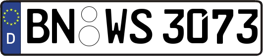 BN-WS3073