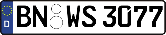 BN-WS3077
