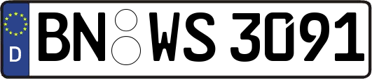 BN-WS3091