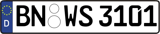 BN-WS3101