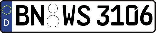BN-WS3106