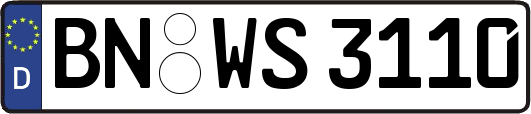 BN-WS3110