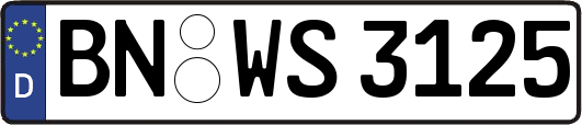 BN-WS3125