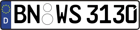BN-WS3130