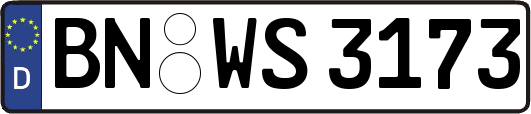 BN-WS3173
