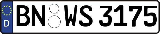 BN-WS3175