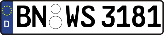 BN-WS3181