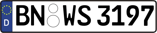 BN-WS3197