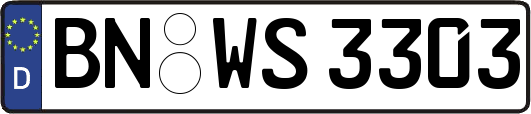 BN-WS3303