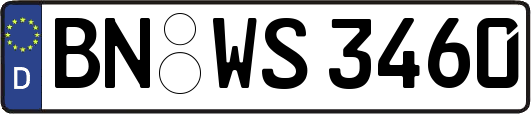 BN-WS3460