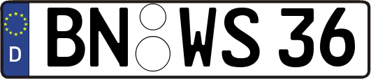 BN-WS36