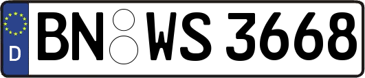 BN-WS3668