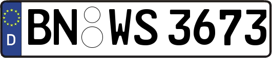BN-WS3673