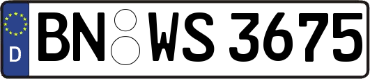 BN-WS3675