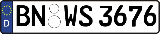 BN-WS3676