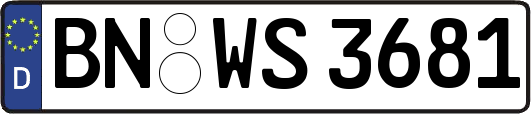 BN-WS3681
